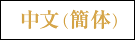 中文 (簡体)
